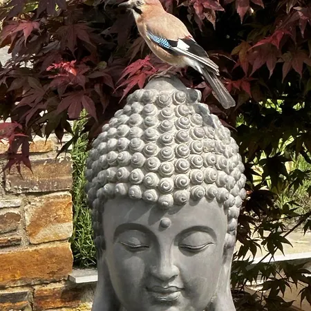 Gemuetliche In Ortsrandlage Lejlighed Rüdesheim am Rhein