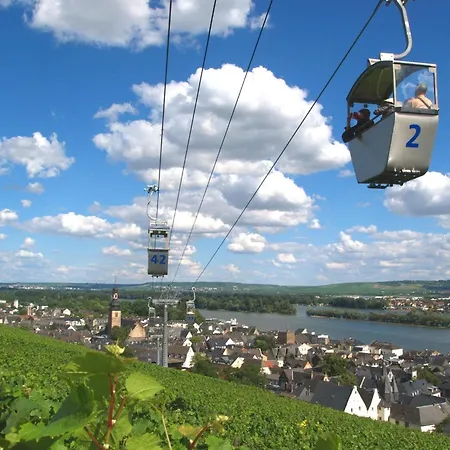 Gemuetliche In Ortsrandlage * Ruedesheim am Rhein