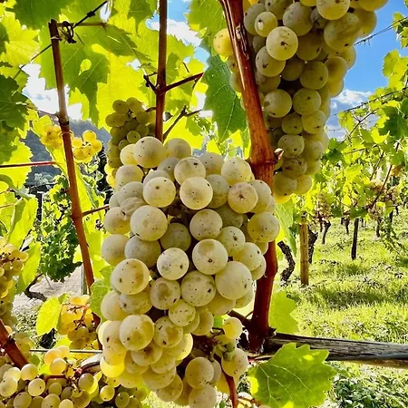 Gemuetliche In Ortsrandlage