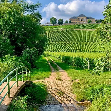 Lejlighed Gemuetliche In Ortsrandlage Rüdesheim am Rhein