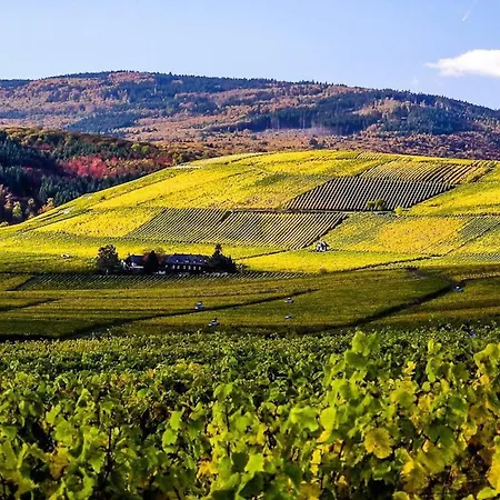 Gemuetliche In Ortsrandlage Appartamento Rüdesheim am Rhein