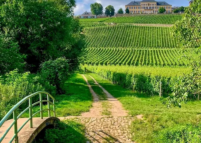 Апартаменты Gemuetliche In Ortsrandlage Рюдесхайм-на-Рейне